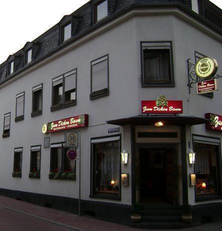 Hotel Zum Dicken Baum Mayen Eksteriør billede